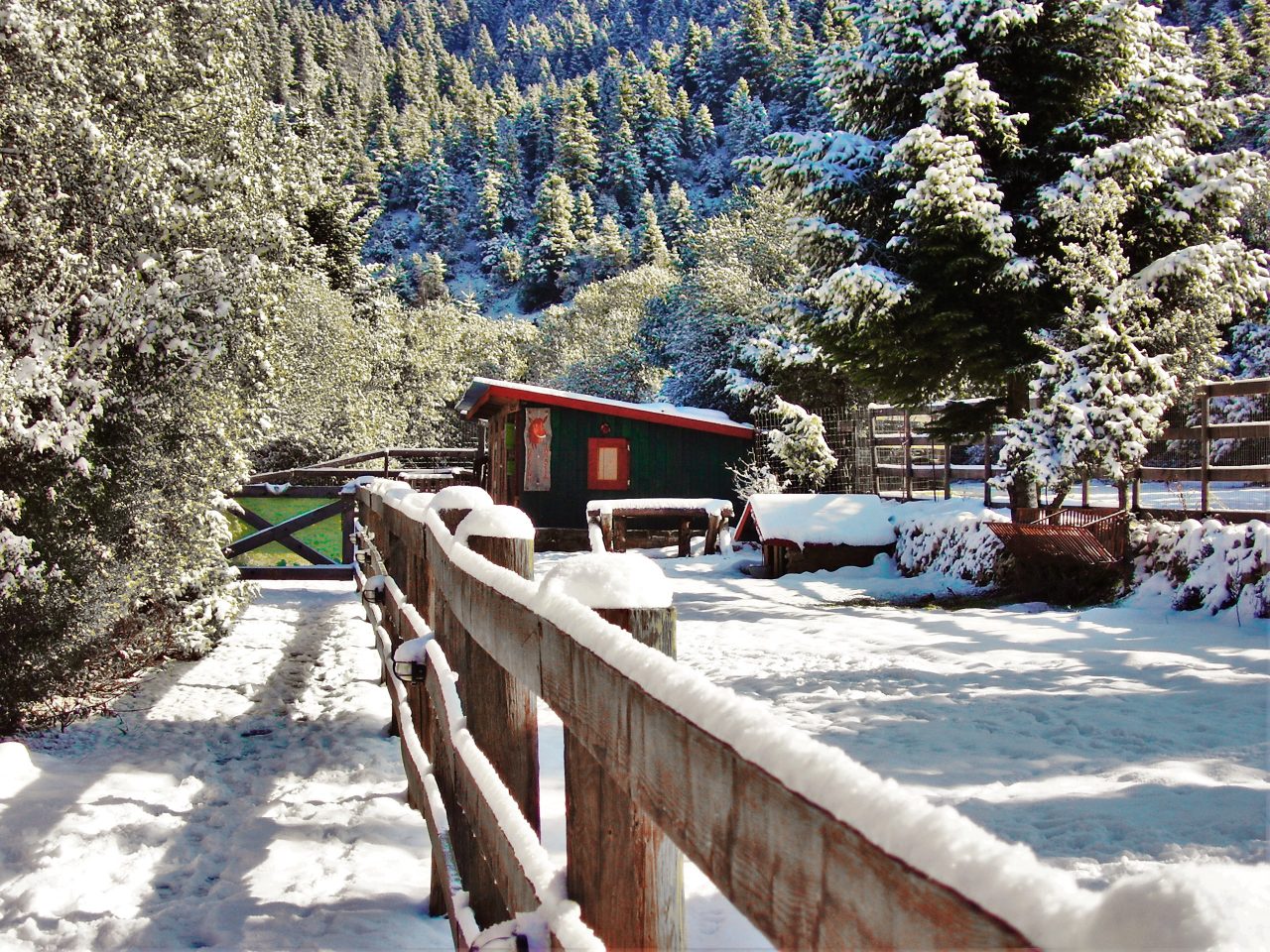 Chalet Kalyvas